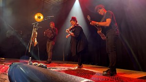 Oplev Tradish: Irsk folkemusik i Aabybro