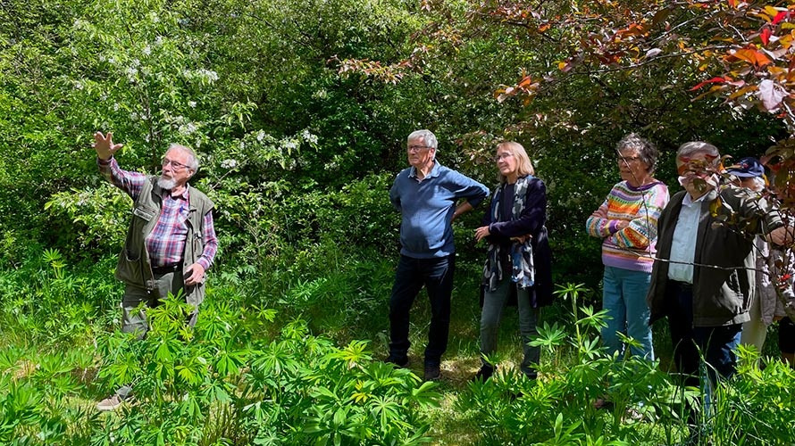 En skov af verdenstræer i Holstebro