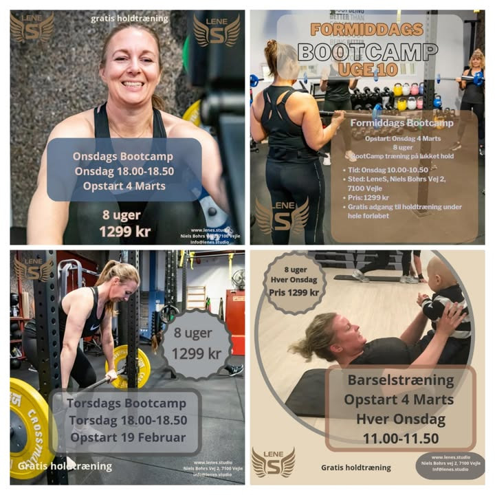 LeneS annoncerer nye bootcamps med start i februar og marts