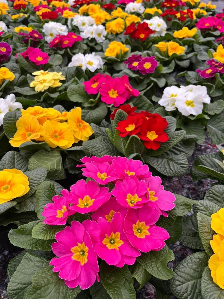 Se dagens updates fra Odder her