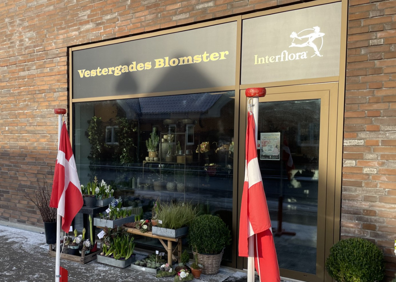 Vestergades Blomster fejrer 50 års jubilæum og nye lokaler d. 20. januar 