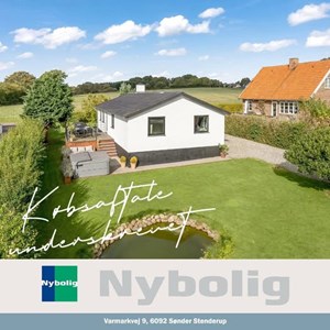 opslagsbillede