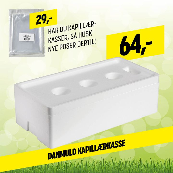 Automatisk vanding af planter med kapillærkasser: Sådan holder du dine planter i live under ferien