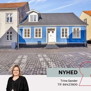 Opslagsbillede