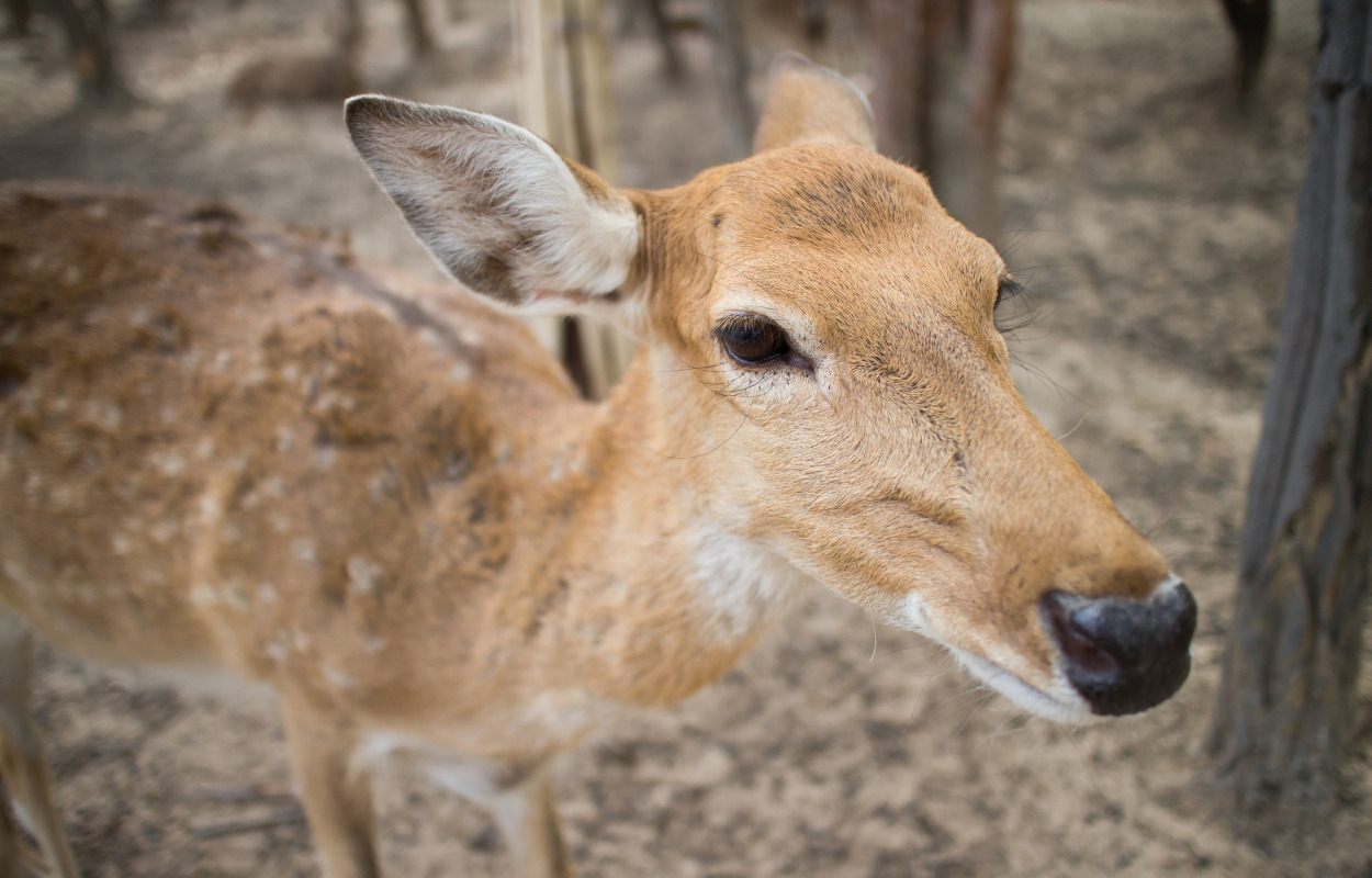 Har du besøgt de lokale seværdigheder i og omkring Hadsund?