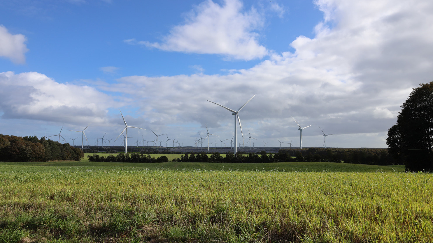 Randers Kommune vedtager ambitiøs energistrategi og genoptager behandlingen af sager om store energianlæg