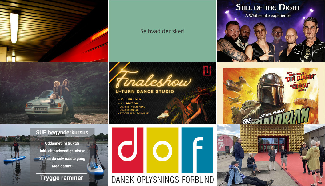 Weekend i Roskilde: Fra koncertoplevelser til kreative rundvisninger