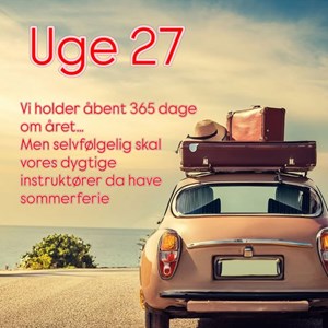 Opslagsbillede
