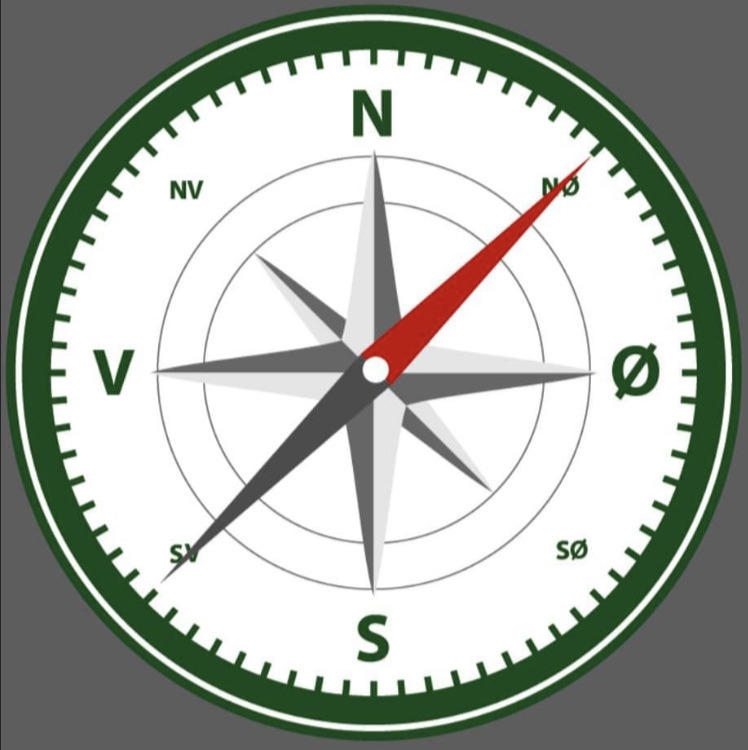 Nordøst-pigerne imponerede trods nederlag