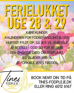 opslagsbillede