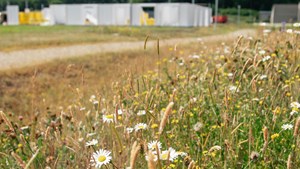 Moderne Arnbjerg i Viborg kombinerer grønne initiativer med rig historie