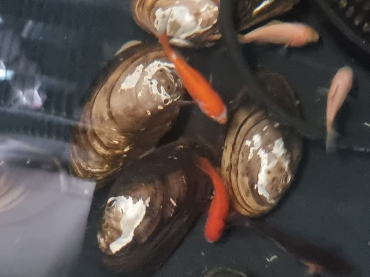 Hold trit med lokalområdet: Nyt fra Hjørring