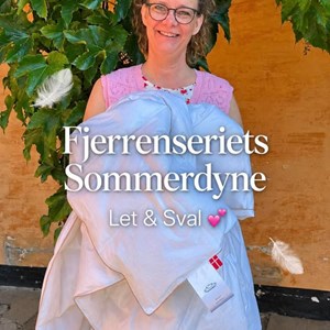 Opslagsbillede
