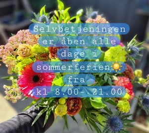 opslagsbillede