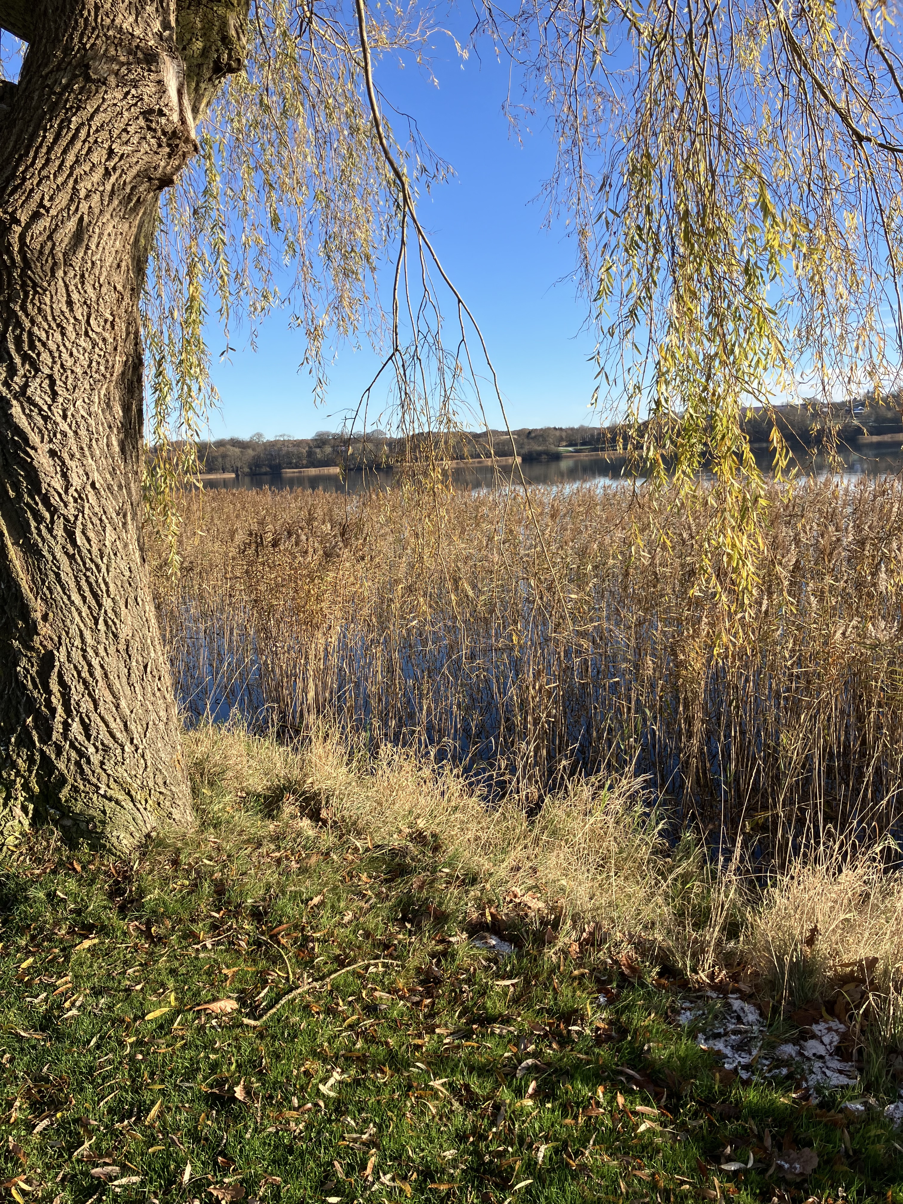 Gå en tur rundt om Søndersø med Gå-gruppen Viborg