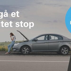 Opslagsbillede