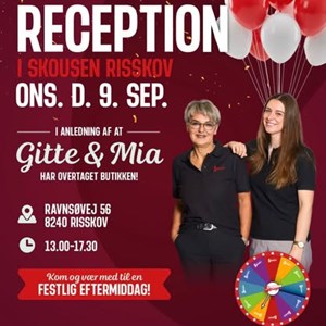 Opslagsbillede