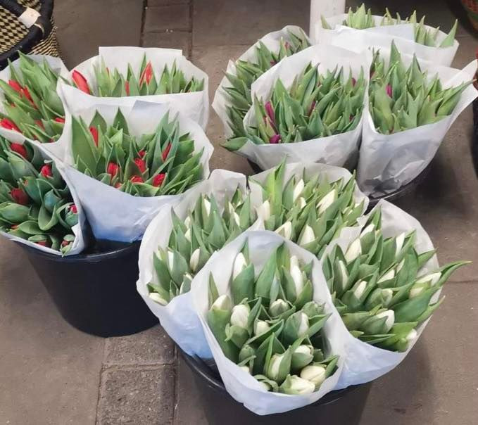 Det nyeste på Brønderslevs opslagstavle