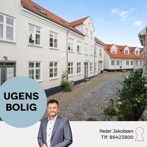 Opslagsbillede