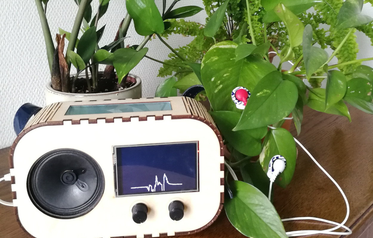 Randers Bibliotek: Lav frøbomber med blomsterfrø og få en demonstration af en planteradio 