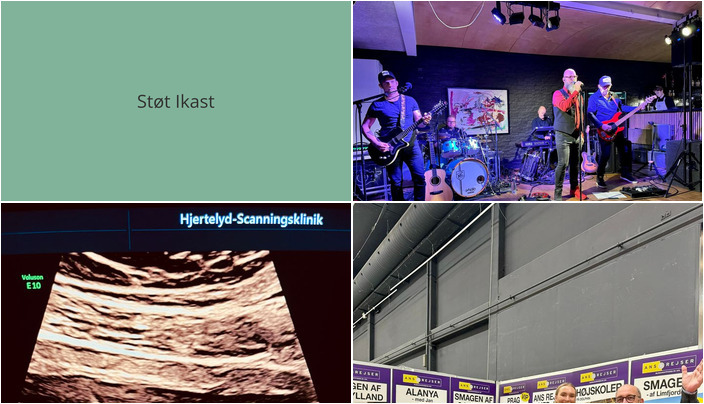 Nyt fra Ans Rejser A/S, Dolphin Hotel Herning og Hjertelyd - scanningsklinik for gravide