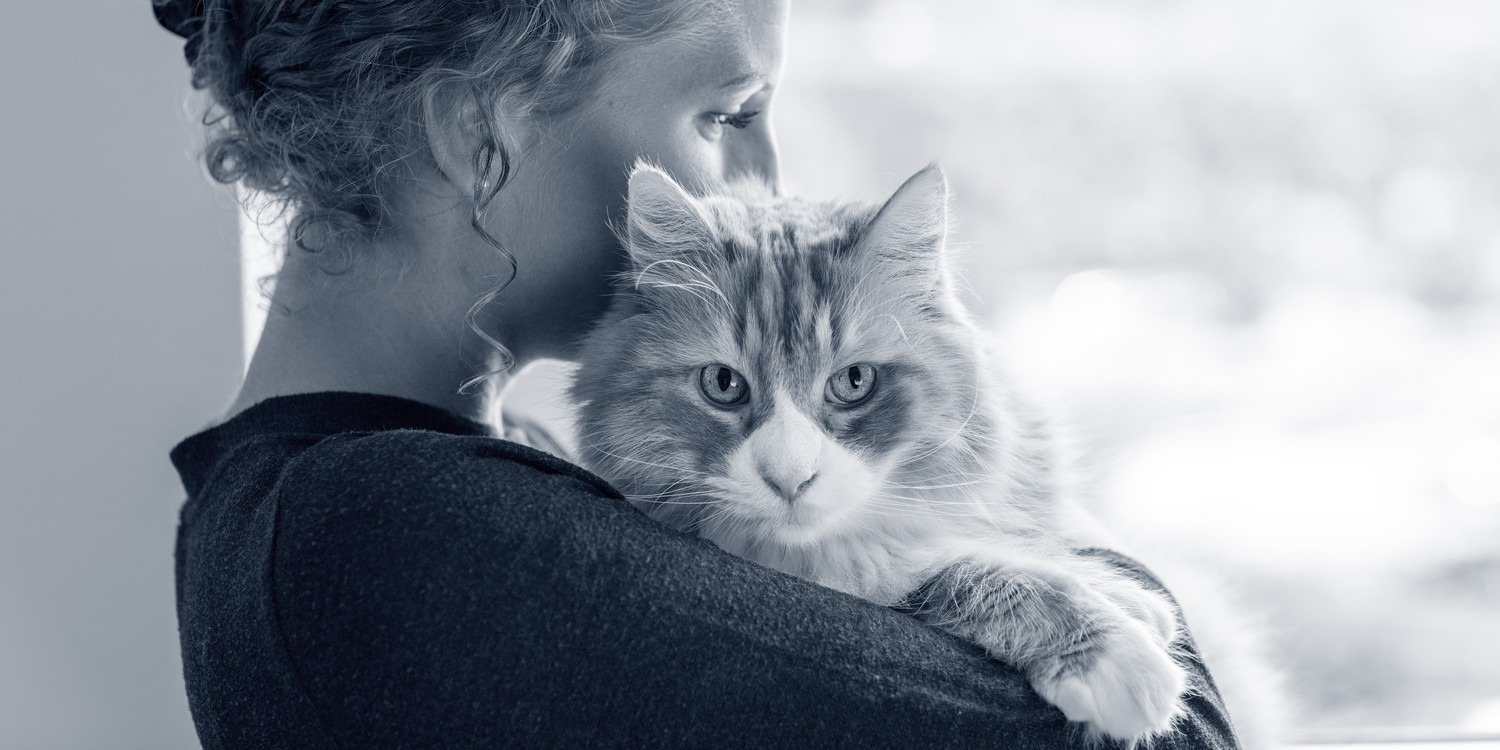 Opslagstavlen: Nyeste opdateringer fra Hjørring