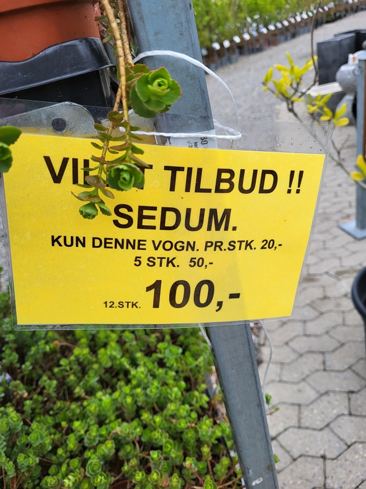 En finger på pulsen i Viborg