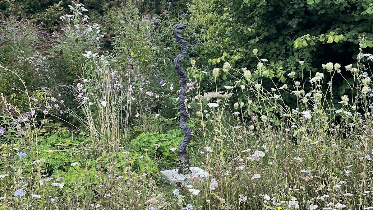 Oplev særomvisning i Sct. Hans Have: 'I mørket beder vi solen huske os'