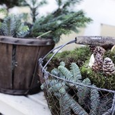 Julestemning og historiefortælling på Kystmuseet Sæby
