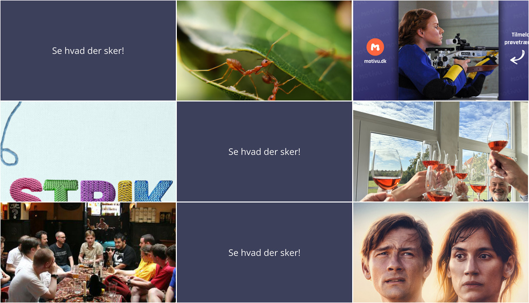 Oplevelser i Brønderslev: Fra myrer til fællessang og foredrag