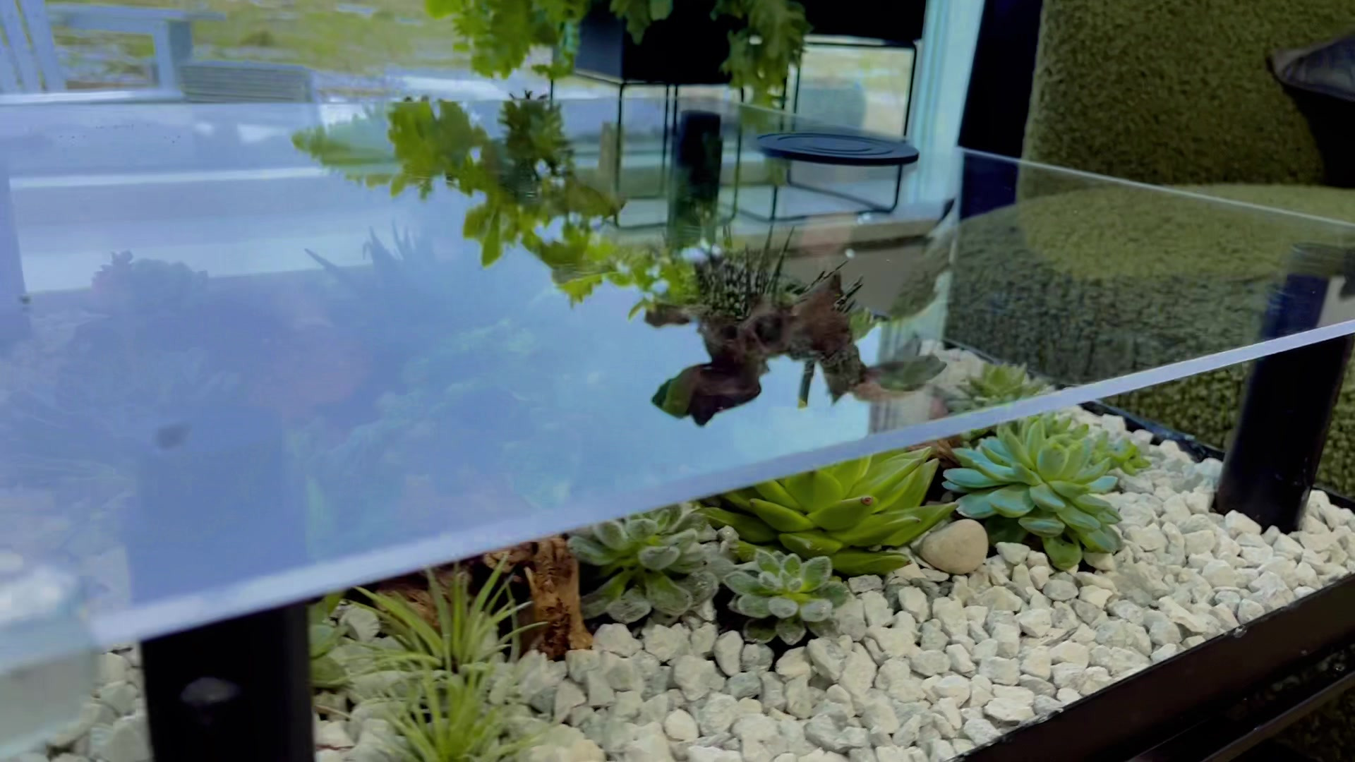 Hold dig ajour med dagens opdateringer fra Hedensted