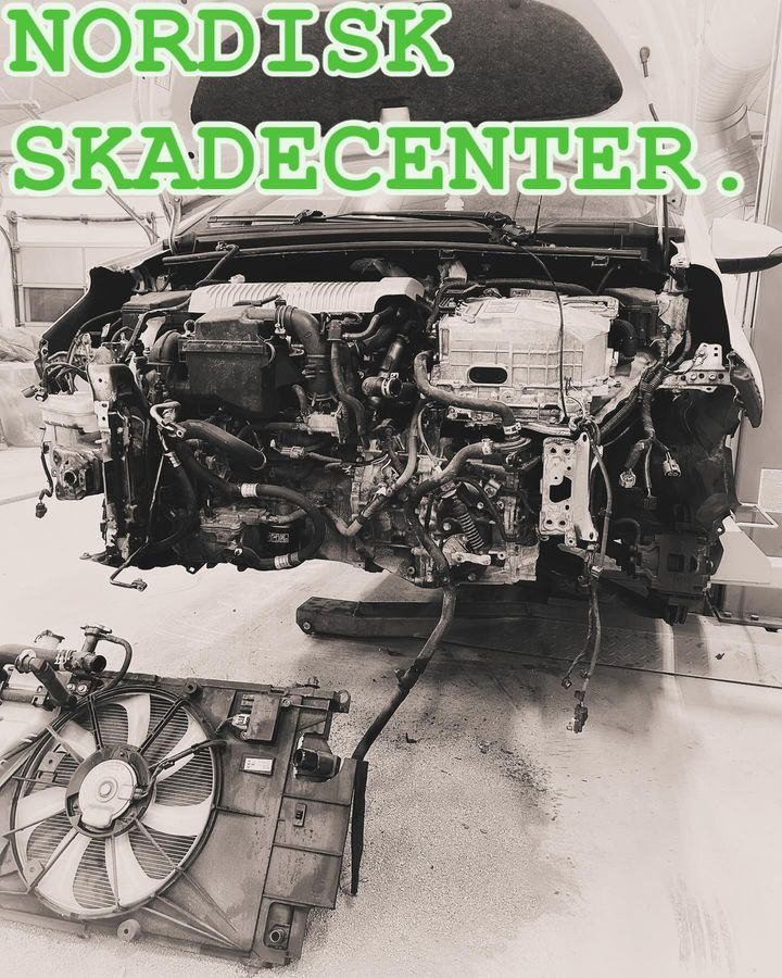 Nyt fra Nordisk Skadecenter