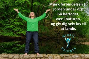 opslagsbillede