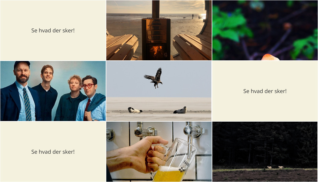 Oplev Fanø: Sauna, Sælsafari og Jazz på programmet denne weekend