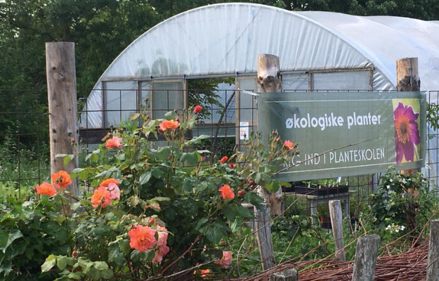 Seneste nyt: tophistorier på sociale medier i Odder