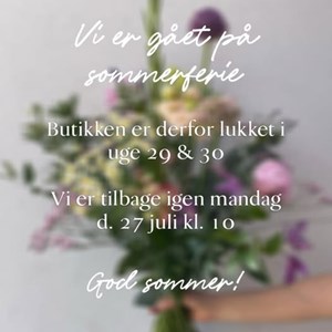 Opslagsbillede