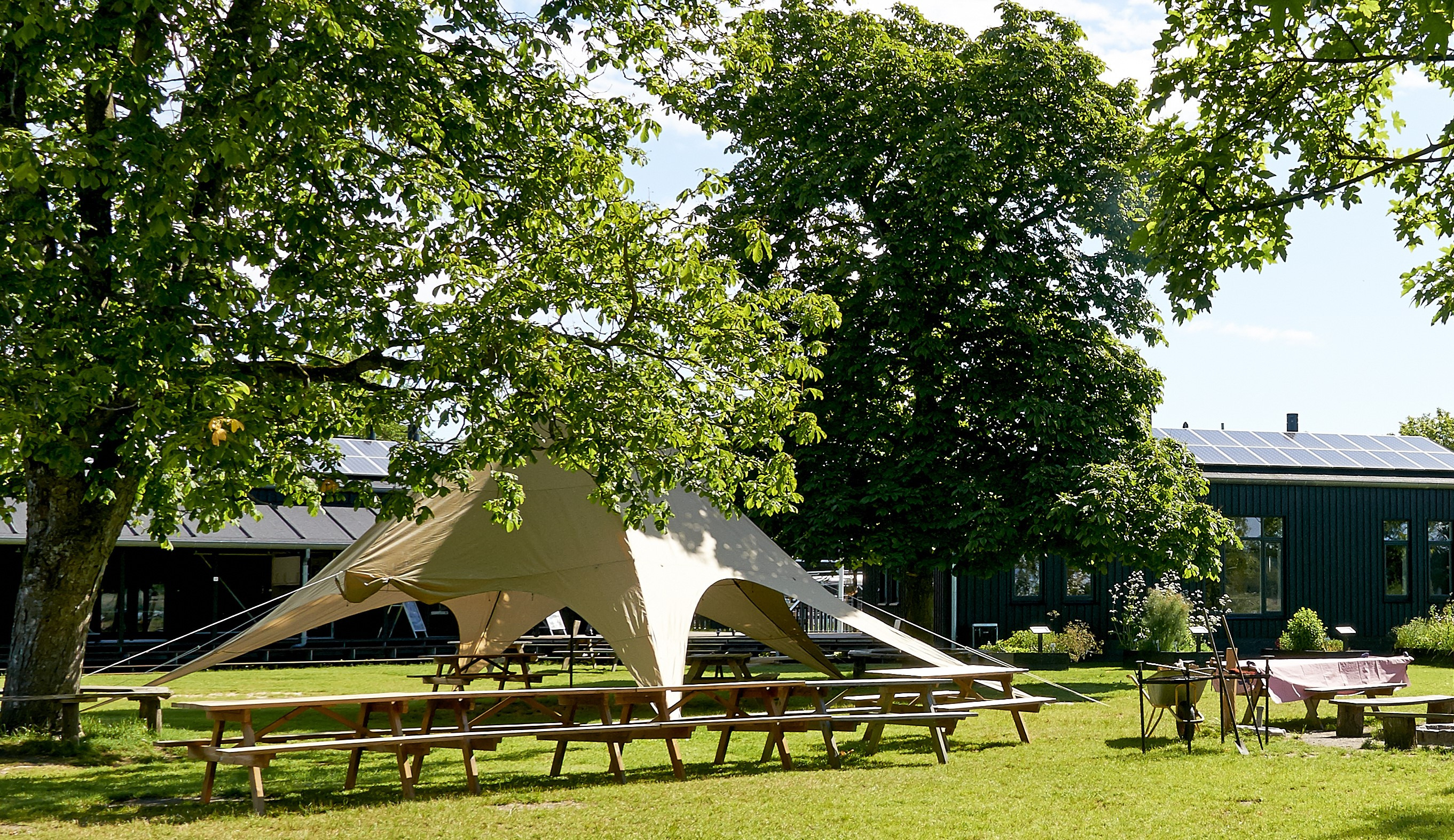 Naturoplevelser gavner personer med demens