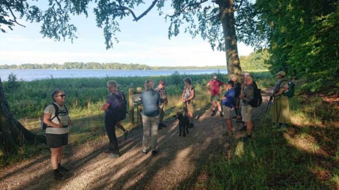 Oplev naturen ved Kongskilde: Vandretur for nye vandrere