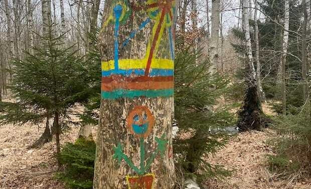 Udforsk naturen omkring Sorø med Dansk Vandrelaug