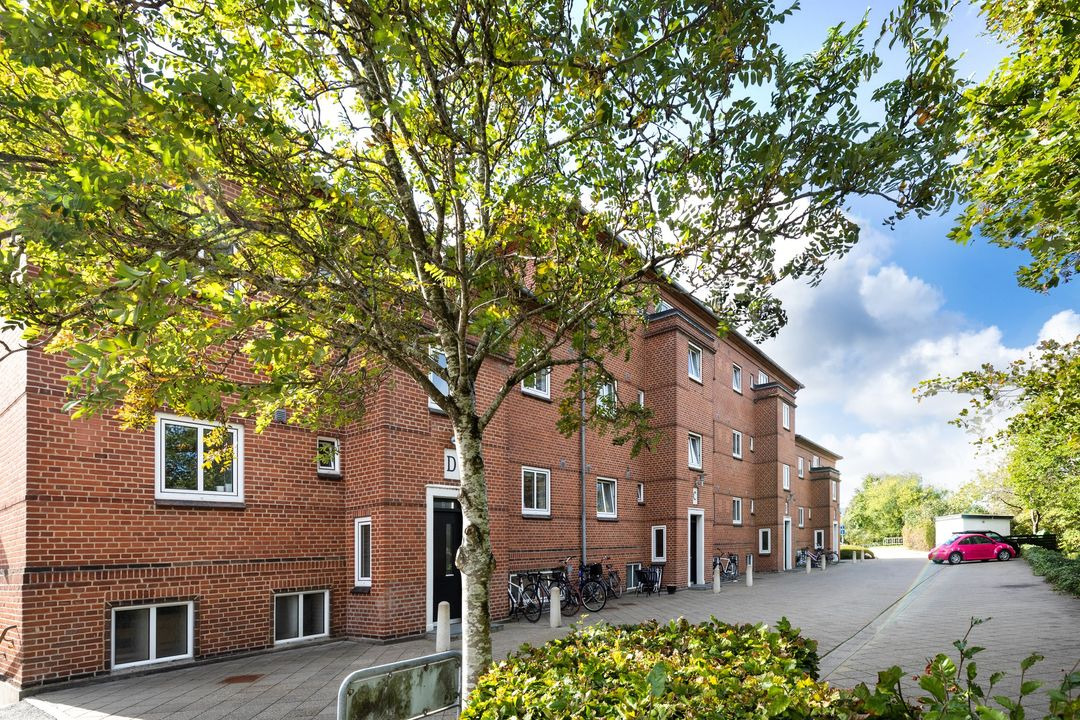 En finger på pulsen i Holstebro