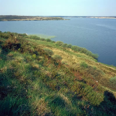 Oplev naturens små vidundere ved Flyndersø