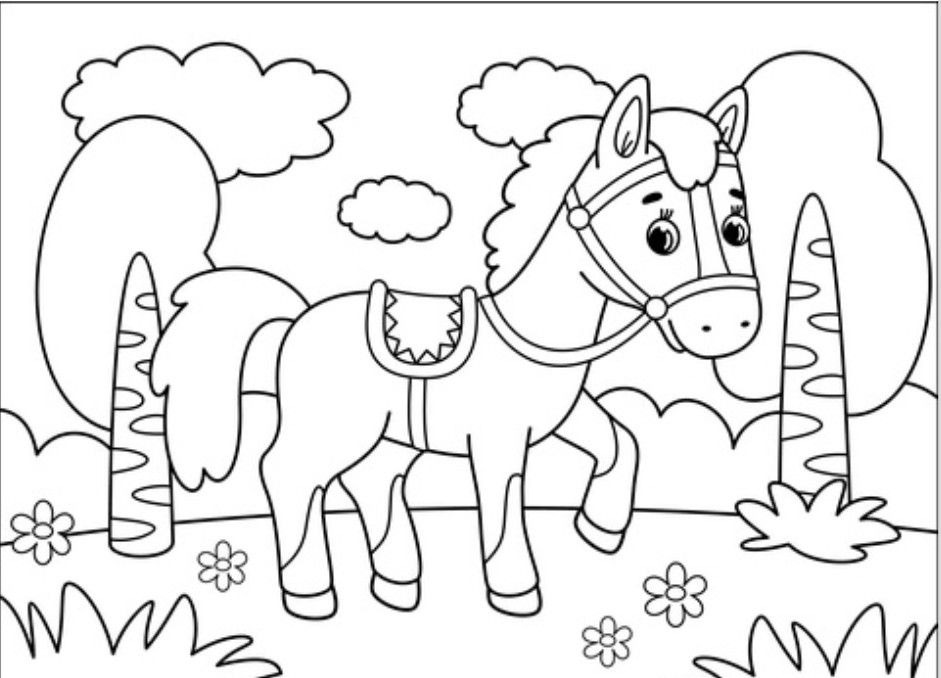 Orienteringsridt bringer hesteentusiaster til Skive Plantage