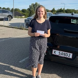 Opslagsbillede