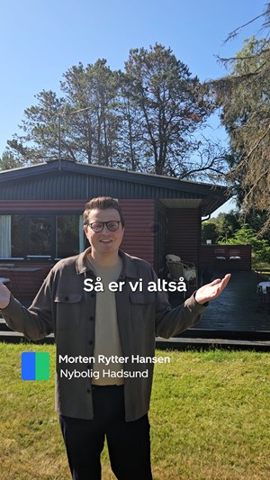 opslagsbillede