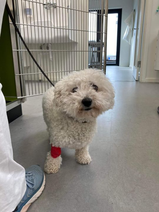 Nyt på opslagstavlen i Herning