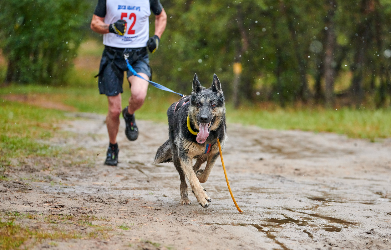 Hundredvis af beskidte poter indtager motocross-banen i Kolding
