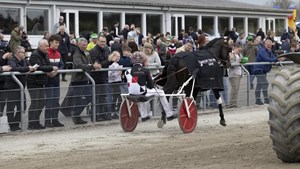 Sommertrav 2025 – Start ferien på BioCirc Trav Arena Skive