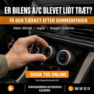Opslagsbillede