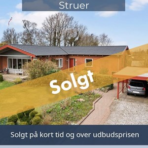 Opslagsbillede
