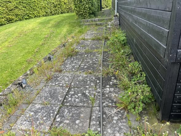 BP Green Garden fjerner ukrudt mellem fliser for et pænt resultat